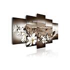 Arkiio Tavla Sensual Bronze 100x50 A3-N3865
