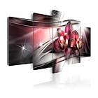 Arkiio Tavla Dark Beauty 200x100 A3-N4518-DKX
