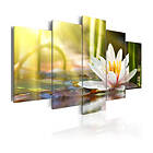 Arkiio Tavla Sunny Lotus 100x50 A3-N6223