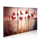 Arkiio Tavla Bright red poppies 90x60