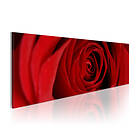 Arkiio Tavla Midnight Rose 135x45 A3-NM1244