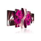 Arkiio Tavla Fuchsia Evening 200x100 A3-N4115-DKX