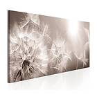Arkiio Tavla Summer Dandelions 135x45 A3-N6530-DKX