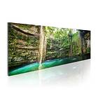 Arkiio Tavla Hidden Treasure Of The Nature 135x45