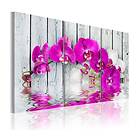 Arkiio Tavla harmony orchid Triptych 90x60