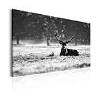 Arkiio Tavla Lying Deer 90x60 A3-N7071-DK