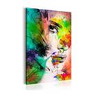 Arkiio Tavla Colors of Feminity 80x120