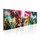 Arkiio Tavla Magical Kaleidoscope 150x50 A3-N6387-DK150