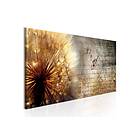 Arkiio Tavla Golden Dandelion 135x45 A3-N6849-DKX