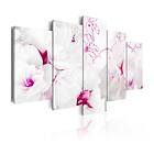 Arkiio Tavla Pink Gossamer 100x50