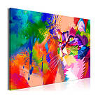 Arkiio Tavla Colourful Cat (1 Part) Wide 120x80 A3-N7967-DK