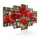 Arkiio Tavla Golden Poppies 100x50 A3-N3921