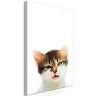 Arkiio Tavla Vexed Cat (1 Part) Vertical 40x60 A3-N8515