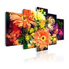 Arkiio Tavla Spring Collage 100x50 A3-N4300