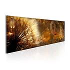 Arkiio Tavla Amber Morning 135x45 A3-N6722-DKX