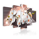 Arkiio Tavla Echo Of Beauty 200x100