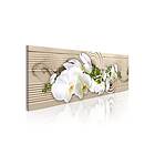Arkiio Tavla Desert Flower 150x50 A3-N3877-DK150
