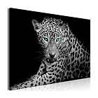 Arkiio Tavla Leopard Portrait (1 Part) Wide 120x80 A3-N7927-DK