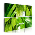 Arkiio Tavla Fresh Green Leaves 120x80