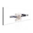 Arkiio Tavla Spa Beauty and Relaxation 150x50