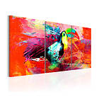 Arkiio Tavla Colourful Toucan 60x30 A3-N5589