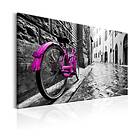 Arkiio Tavla Vintage Pink Bike 90x60 A3-N6046-DK