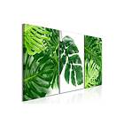 Arkiio Tavla Palm Leaves 3 delar 120x60 (3 Parts) A3-N8128