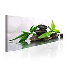 Arkiio Tavla SPA Bamboo And Stones 150x50