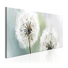 Arkiio Tavla Romantic Summer 150x50 A3-N6664-DK150