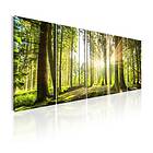 Arkiio Tavla Sunlight 200x80 A3-N6797-DK