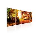 Arkiio Tavla Enchanting Autumn 225x90 A3-N6811-DKX