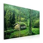 Arkiio Tavla Skogsekosystem 90x60 A3-N2588-DK