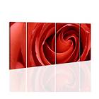Arkiio Tavla Passionate Rose 60x30