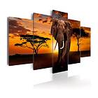 Arkiio Tavla The Savannah King 200x100 A3-N5824-DKX