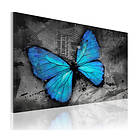 Arkiio Tavla The Study Of Butterfly 90x60