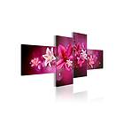 Arkiio Tavla Lilies And Pearls 100x45