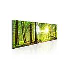 Arkiio Tavla Majestic Trees 120x40 A3-N4419