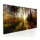 Arkiio Tavla Beautiful Forest 135x45 A3-N6310