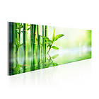 Arkiio Tavla Green Bamboo 135x45 A3-N6567-DKX