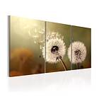 Arkiio Tavla Whisper of Summer 60x30
