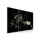 Arkiio Tavla The Transience Dandelions- 60x40