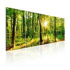 Arkiio Tavla Magic Forest 225x90 A3-N6324-DKX