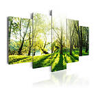 Arkiio Tavla Green Glade 200x100 A3-N3480-DKX