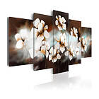 Arkiio Tavla Soft As Silk 200x100