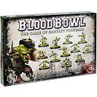 Scarcrag Snivellers Goblin Blood Bowl Team