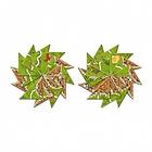 Carcassonne: Half as wild Mini Expansion (eng. regler)