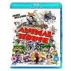Animal House (UK) (Blu-ray)