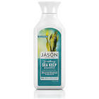 Jason Natural Cosmetics Sea Kelp Shampoo 473ml