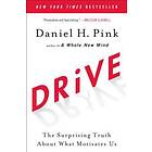 Drive: The Surprising Truth about What Motivates Us