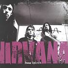 Nirvana Teen Spirit